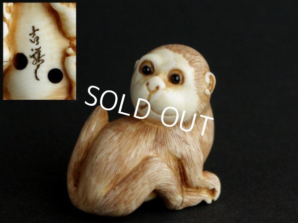 Photo1: ANTIQUE JAPANESE SIGNED MONKEY NETSUKE BONE