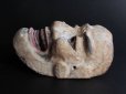 Photo3: Japanese Antique Wood Noh mask Demon Fearless Smile (3)