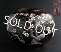 Same as Museum Antique Japanese ANDO Cloisonne Raised Cherry blossom Vase signed