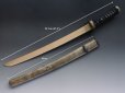 Photo3: Antique Japanese samurai Sword YAKIZASHI koshirae sharkskin Saya (3)