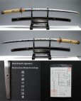 Photo1: Great HAMON 1600s Edo Samurai Sword Long Wakizashi Signed KUNISHIGE Koshirae (1)