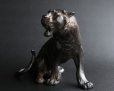 Photo6: Great Antique Meiji Japanese Rare Sitting Tiger Bronze Statue Figurine 4.3kg