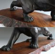 Photo12: Antique Japanese Meiji Signed TSUNEMITSU Bronze Tiger Big Statue 60cm Glass eyes