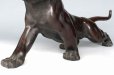 Photo13: Great Antique Japanese Meiji Big Tiger Bronze Statue by OMORI MITSUMOTO 26 inch