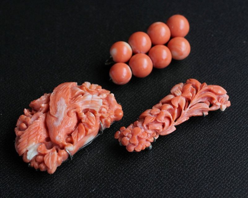 3 Antique Fine carved Bird flower Nature coral buckles and Brooch Pin