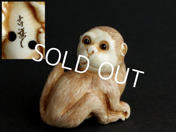 Photo1: ANTIQUE JAPANESE SIGNED MONKEY NETSUKE BONE