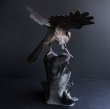 Photo3: Japanese Antique Bronze HAWK EAGLE Artist Signed STATUE Okimono